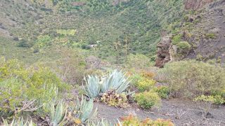GC-Caldera de Bandama 2026-019.jpg